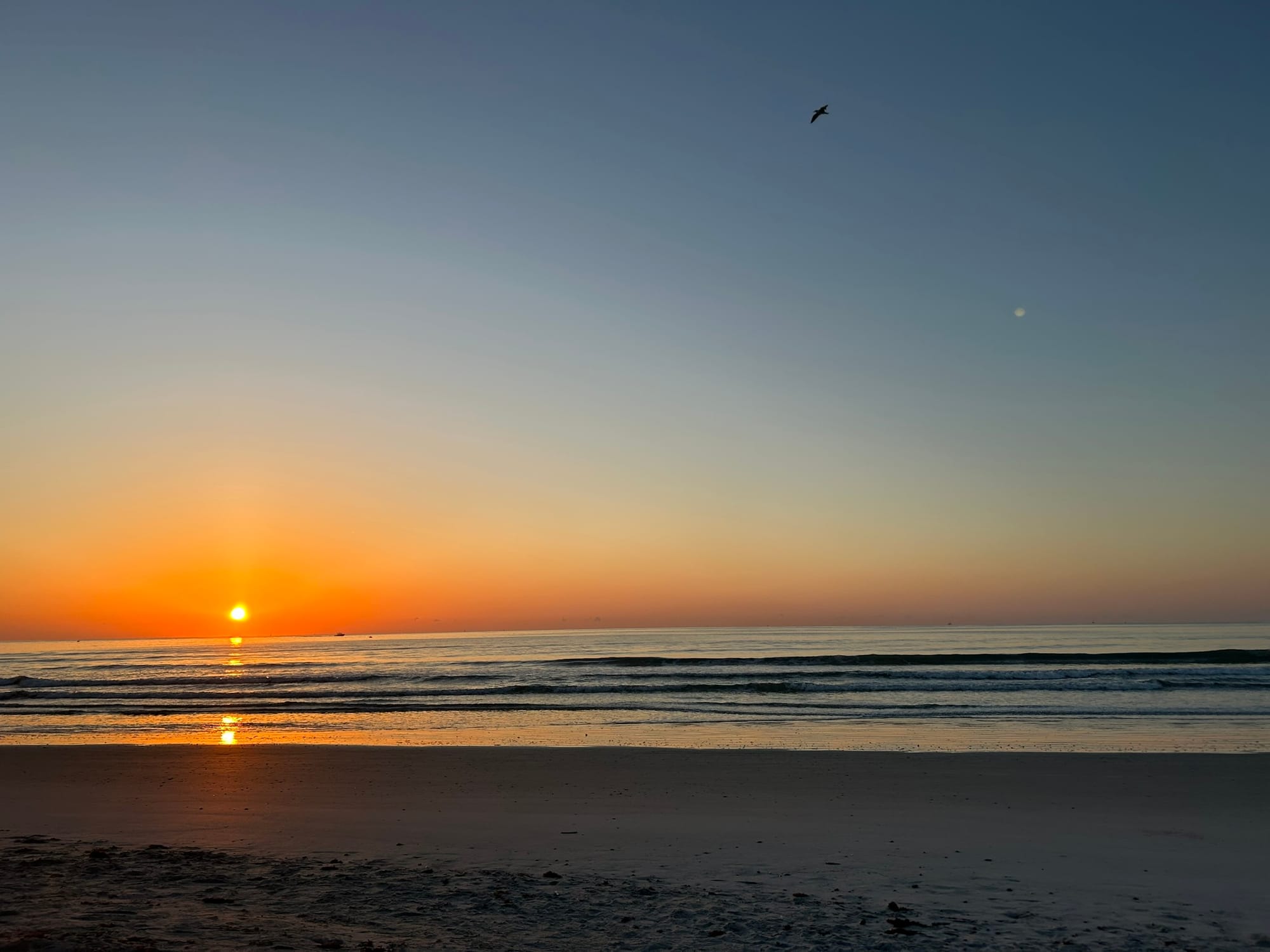 Rest and Recuperation